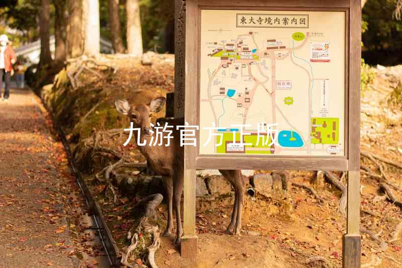 九游官方正版